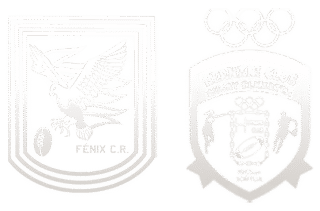 https://rugbyfenix.com/wp-content/uploads/2026/01/equipos-1-1-320x211.png