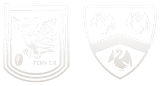 equipos copia (2) https://rugbyfenix.com/wp-content/uploads/2026/03/equipos-copia-2-320x173.png