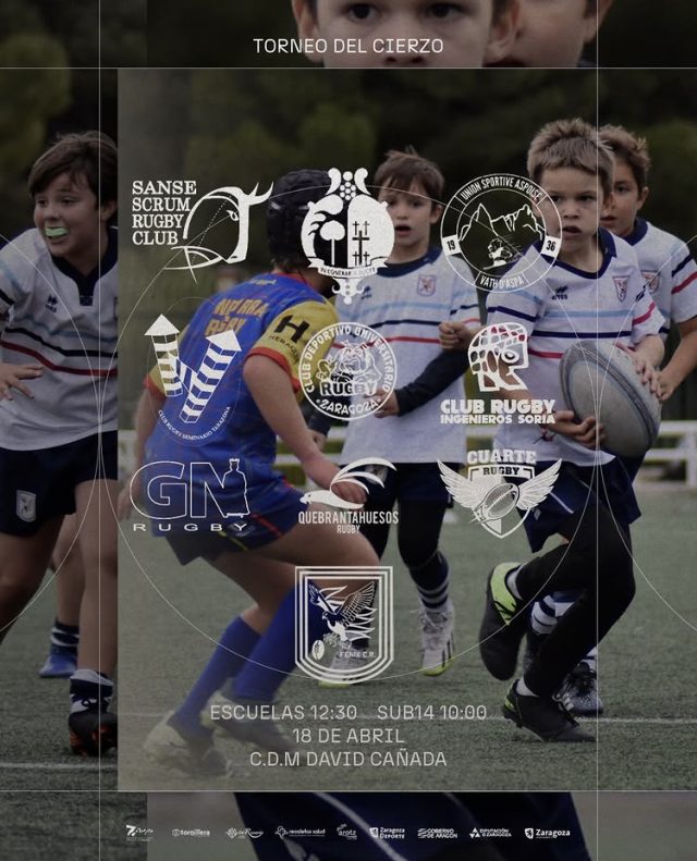 TORNEO ZIERZO